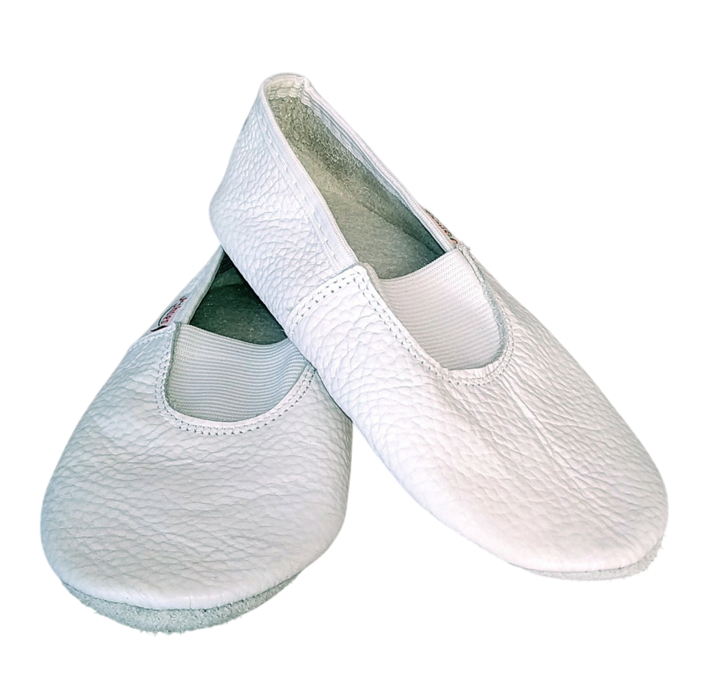 Картинка Чешки J-Shoes М25/33 кожа от магазина Линия Танца