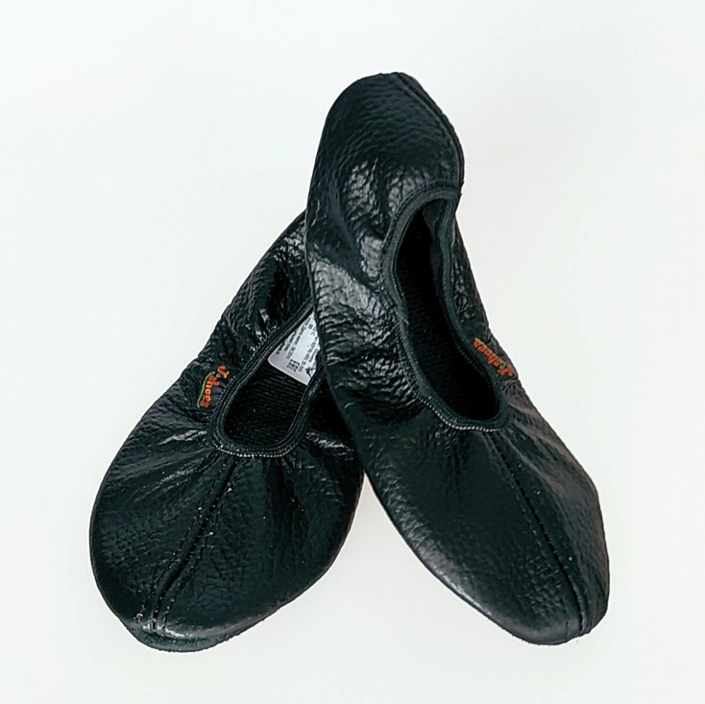 Картинка Чешки J-shoes J-5 кожа от магазина Линия Танца