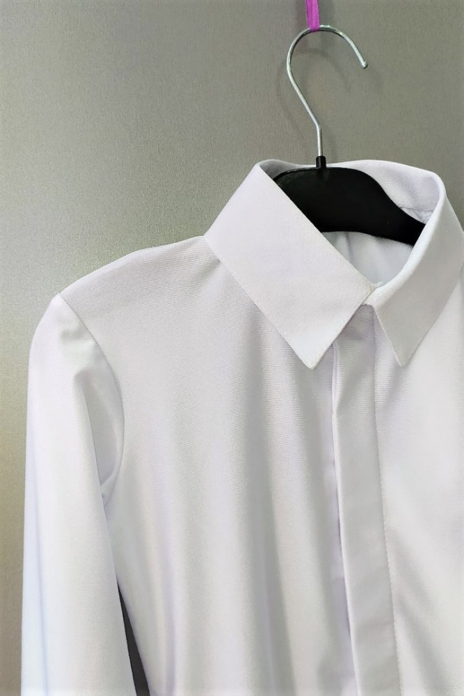 photo_rubashka_rt_rr2_1_pa_ash_