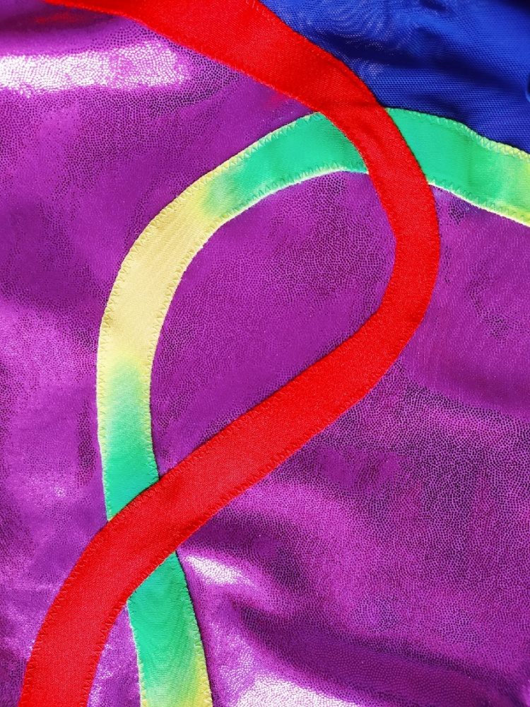 Картинка Купальник для спортивной гимнастики Танцующие Астрид длинный рукав от магазина Линия Танца